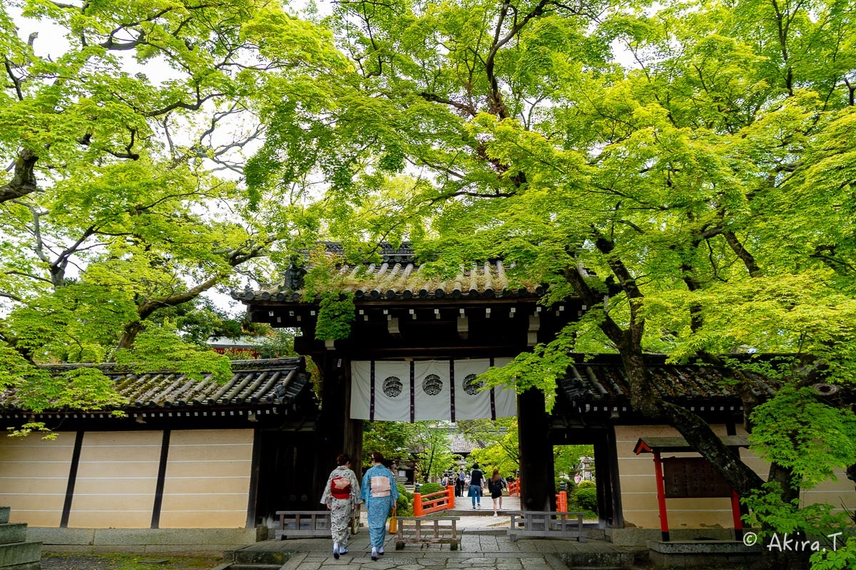 &#127808; 新緑 2019 -5- 今宮神社 &#127808;_f0152550_21291482.jpg