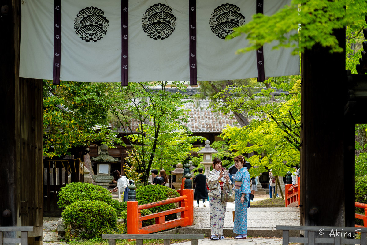 &#127808; 新緑 2019 -5- 今宮神社 &#127808;_f0152550_21292228.jpg