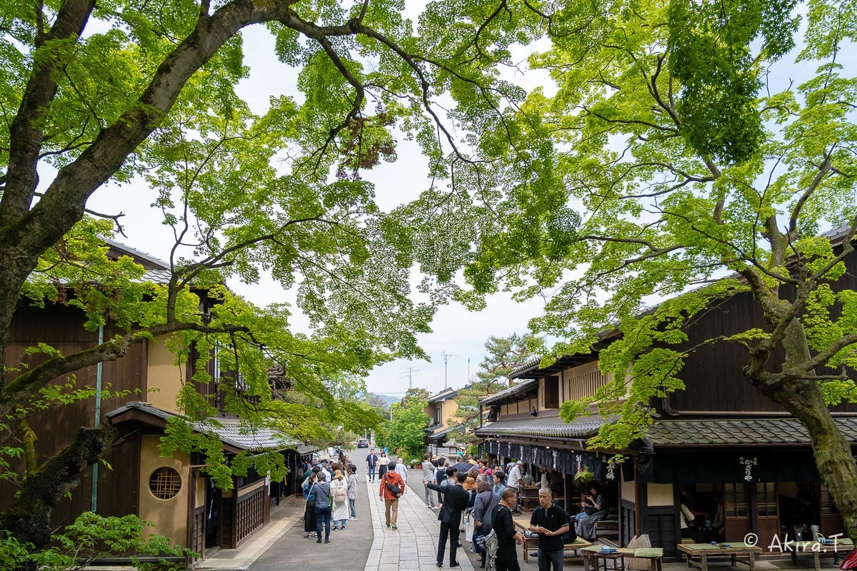 &#127808; 新緑 2019 -5- 今宮神社 &#127808;_f0152550_21293181.jpg