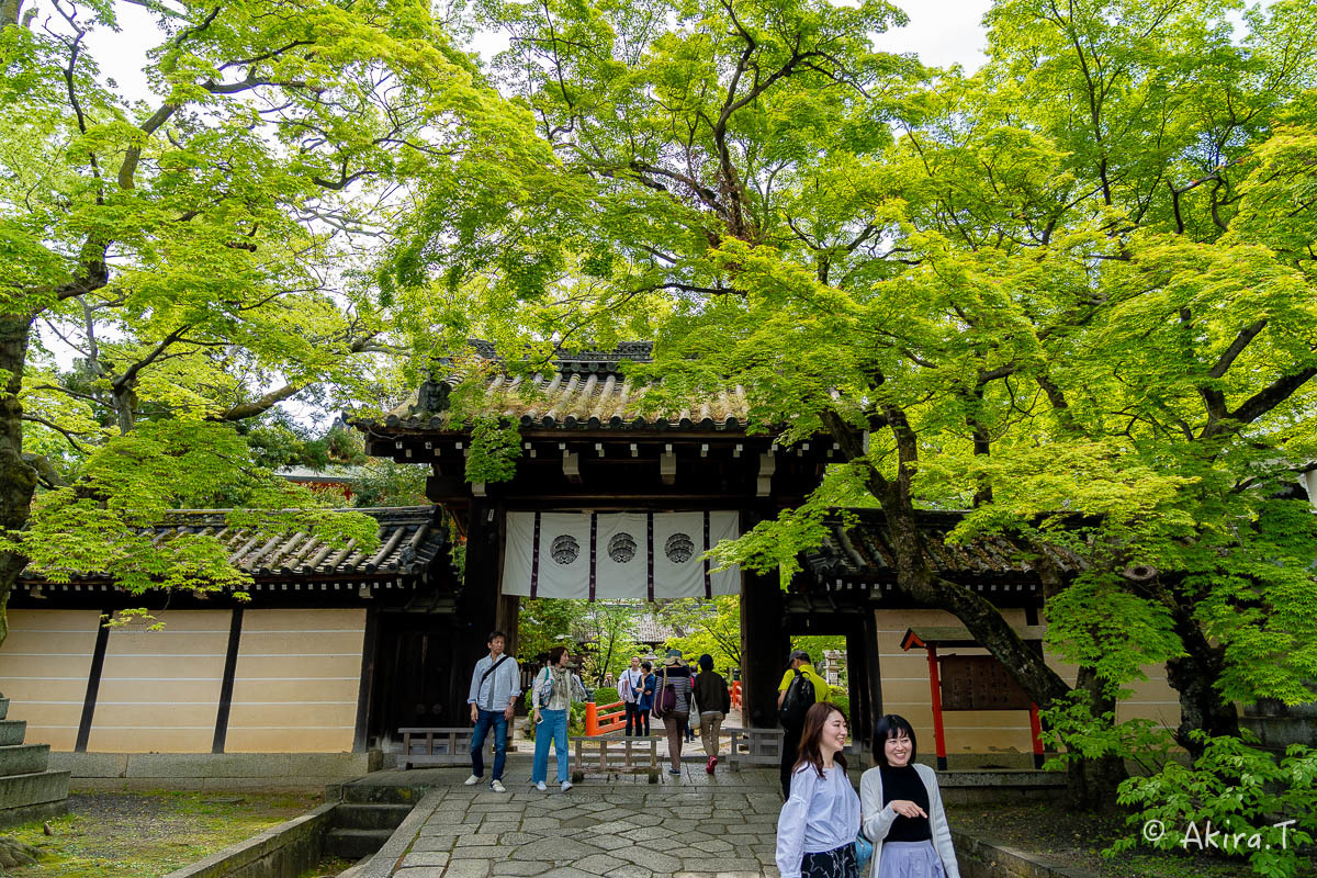 &#127808; 新緑 2019 -5- 今宮神社 &#127808;_f0152550_21301033.jpg