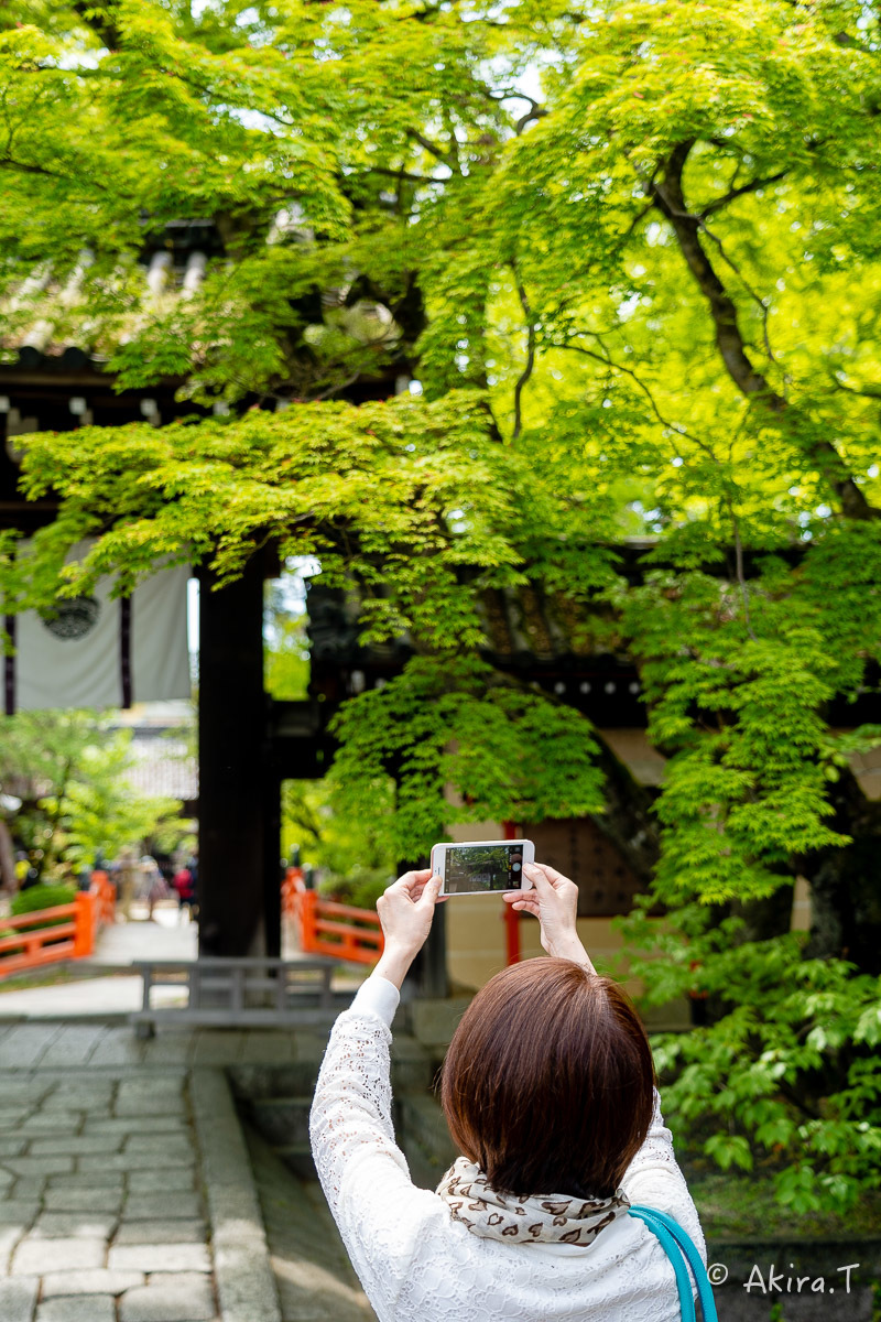 &#127808; 新緑 2019 -5- 今宮神社 &#127808;_f0152550_21301843.jpg