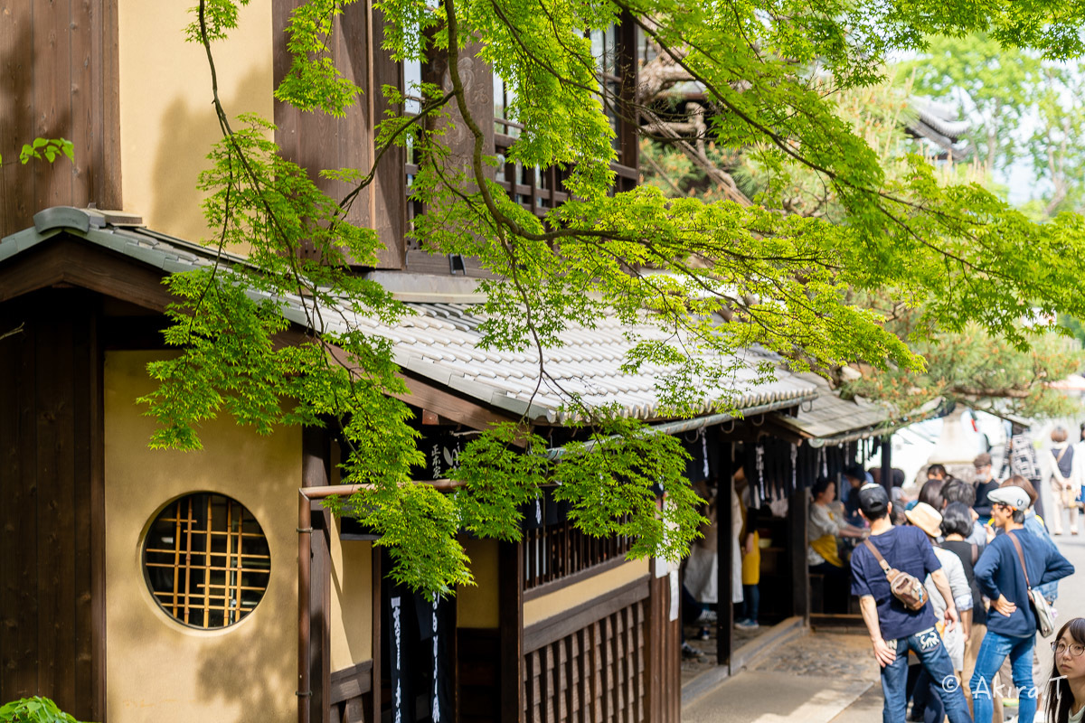 &#127808; 新緑 2019 -5- 今宮神社 &#127808;_f0152550_21303742.jpg