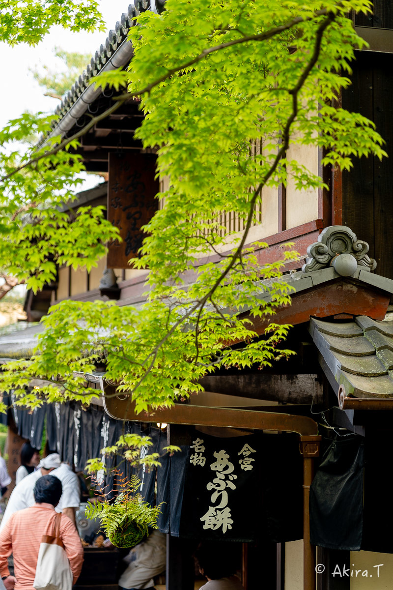 &#127808; 新緑 2019 -5- 今宮神社 &#127808;_f0152550_21314313.jpg