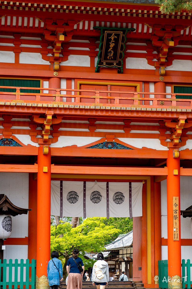 &#127808; 新緑 2019 -5- 今宮神社 &#127808;_f0152550_21321044.jpg