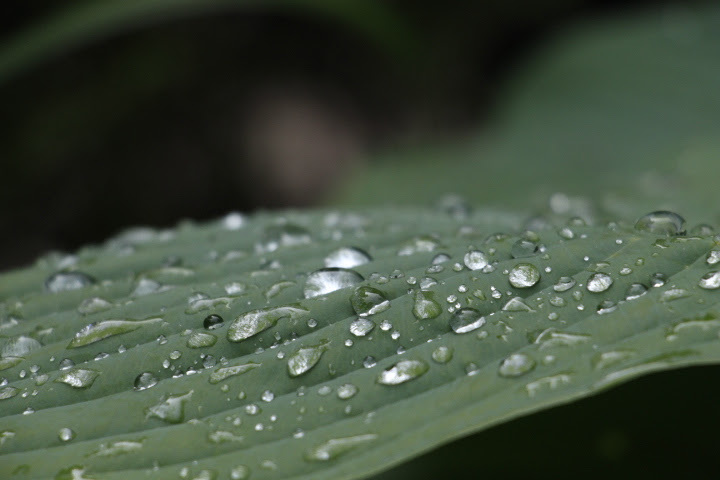 a0248459_13402606.jpg