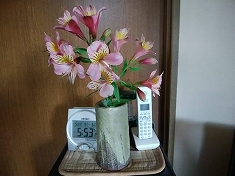 a0331562_19355336.jpg