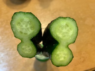 頑張ったね&キュウリ_e0040673_18061756.jpg