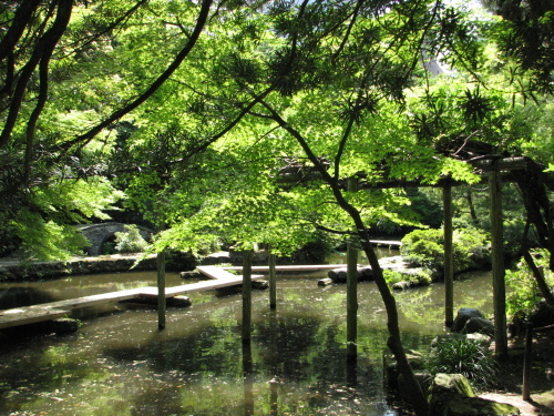f0259373_15301080.jpg