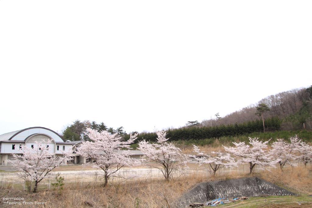 c0356480_20274096.jpg