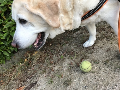 f0315081_22085301.jpeg