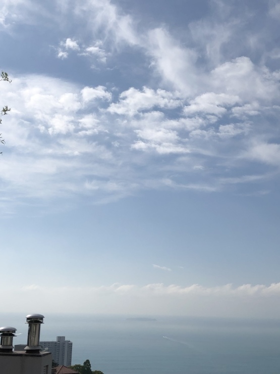 2019年５月２３日  ゴッドハンドに_b0098584_20070961.jpeg
