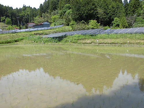 5月22日の田んぼ(月光原小・西根小) _d0247484_1683860.jpg
