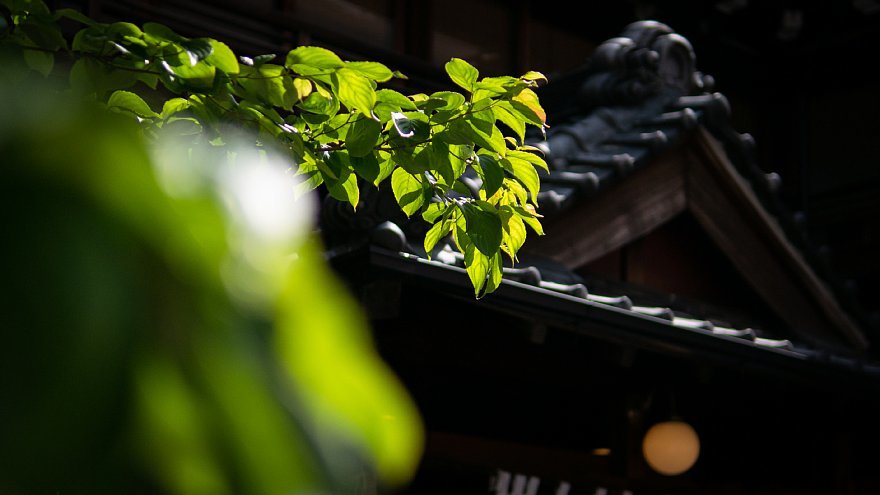 d0353489_09491141.jpg