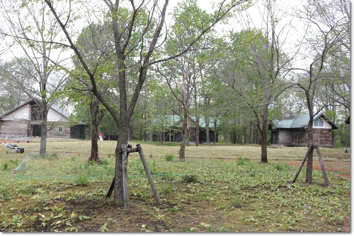 f0146493_07210144.jpg