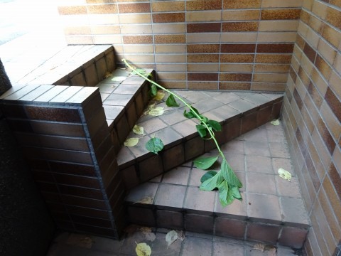 c0322794_23225781.jpg