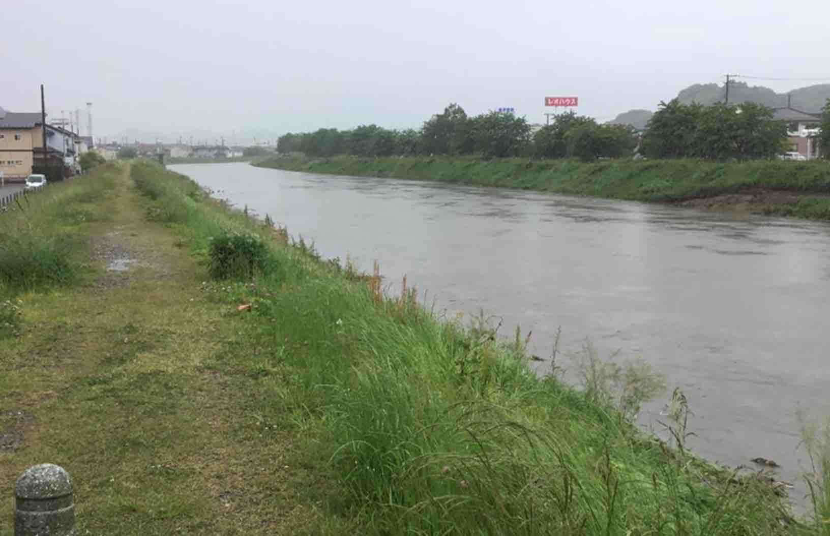 大雨で矢田川が増水_e0068696_1718187.jpg