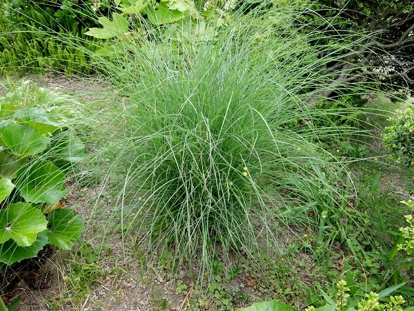 c0119197_10240628.jpg