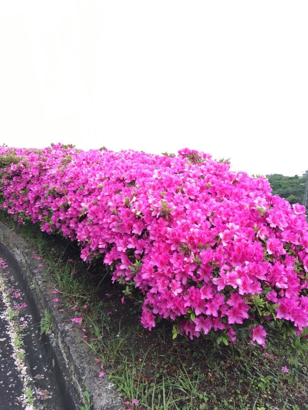 快晴♪_b0275998_10521154.jpeg