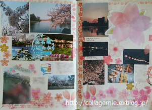 a0223701_07444979.png