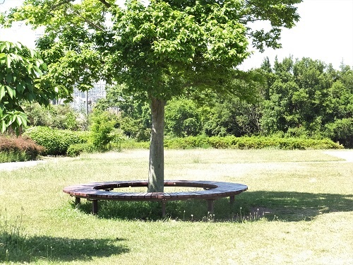 e0360409_16155280.jpg