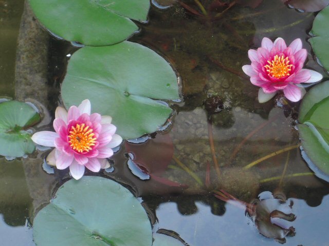 f0373109_07020621.jpg