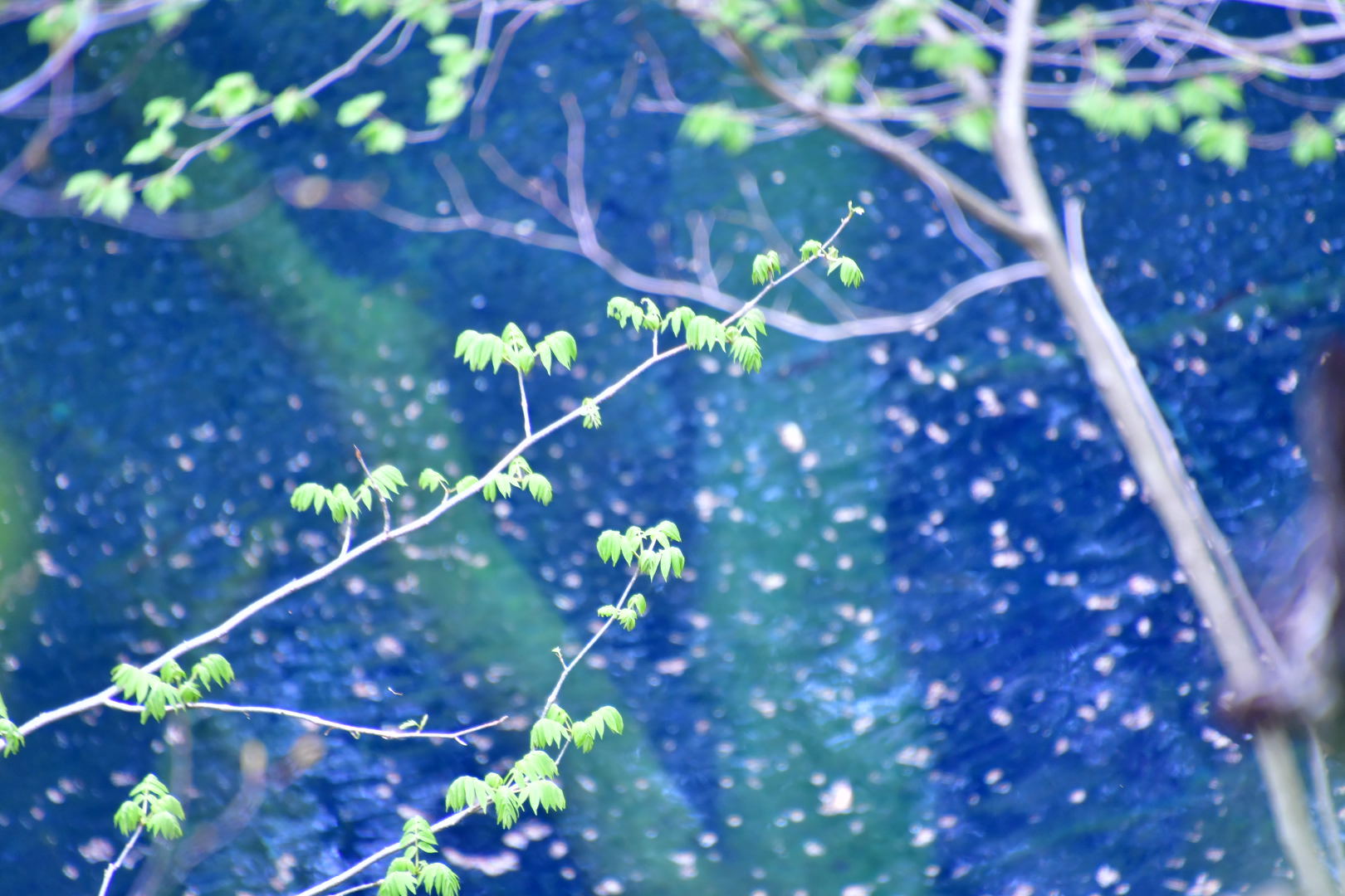 b0223512_22274462.jpeg