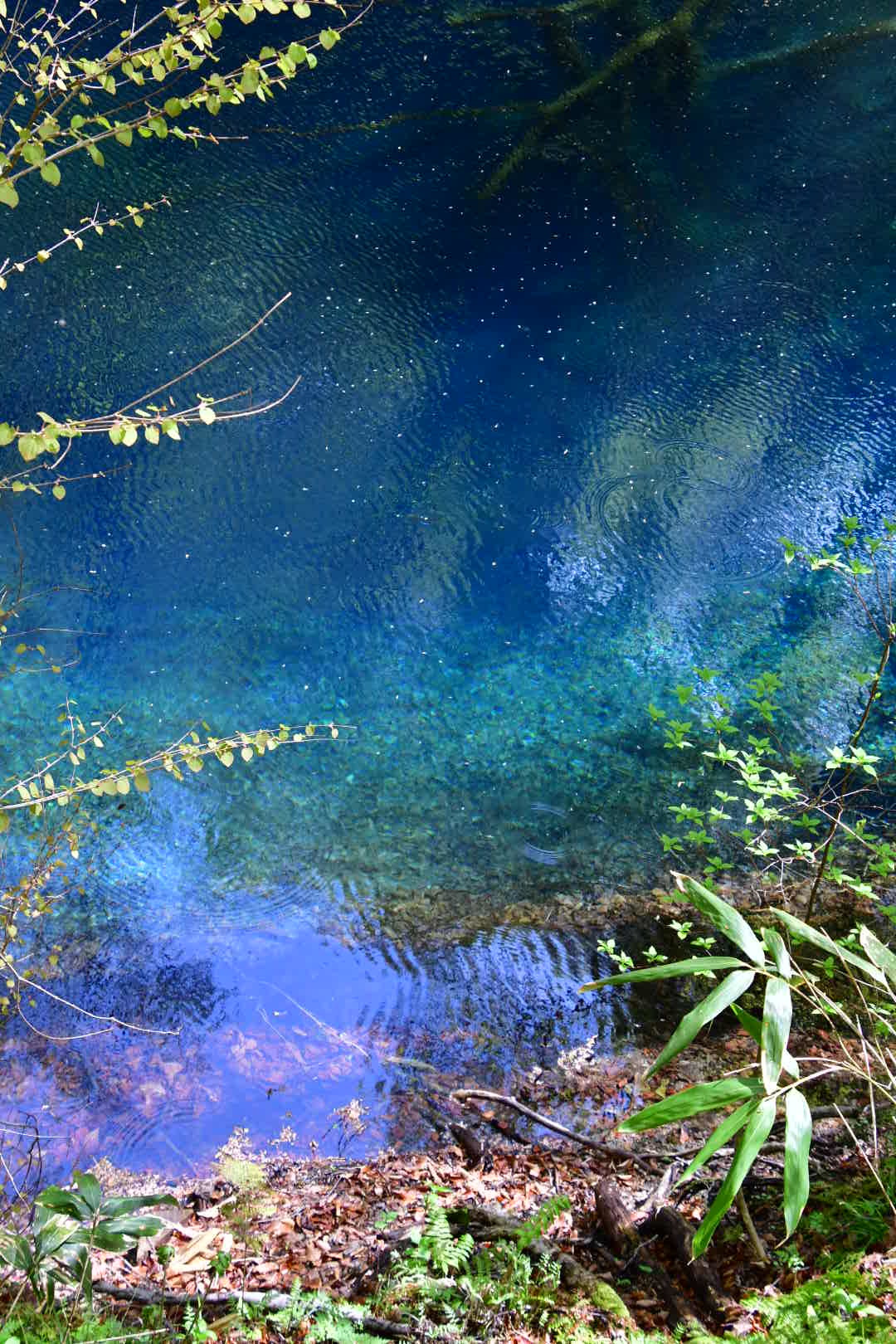 b0223512_22281823.jpeg