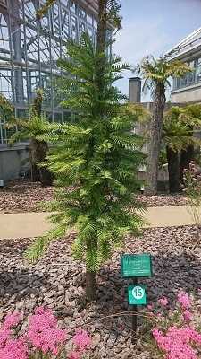 f0371014_00335868.jpg