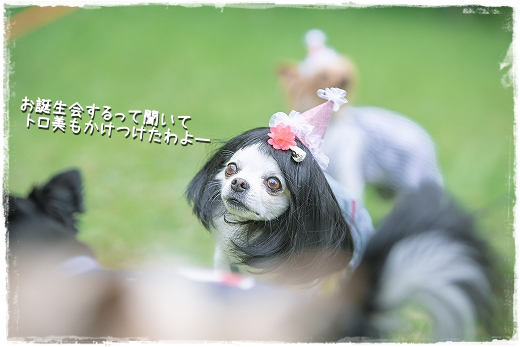 d0179828_00565921.png