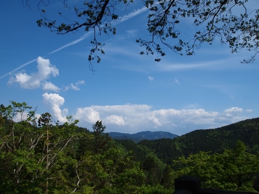 f0013029_12454885.jpg