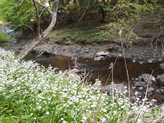 f0013029_12461462.jpg