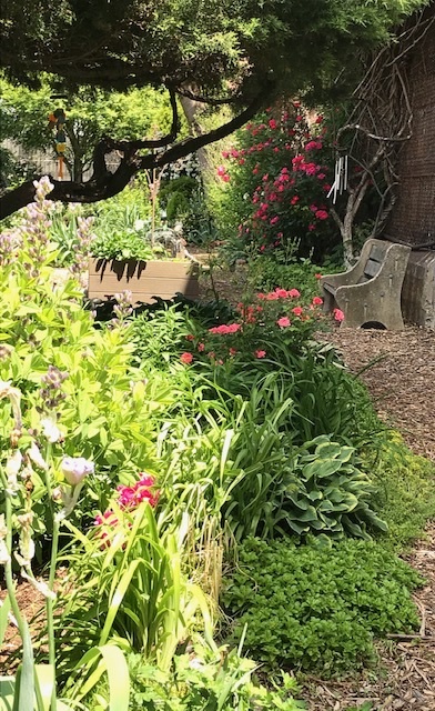 d0269832_19491510.jpeg