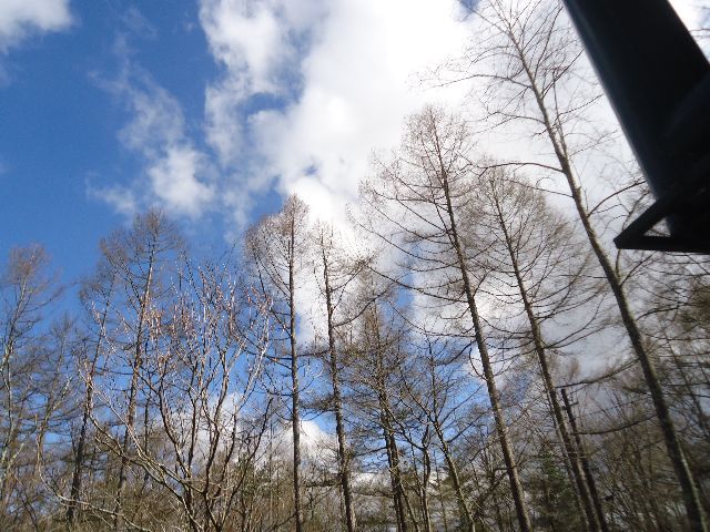 d0380237_07570167.jpg
