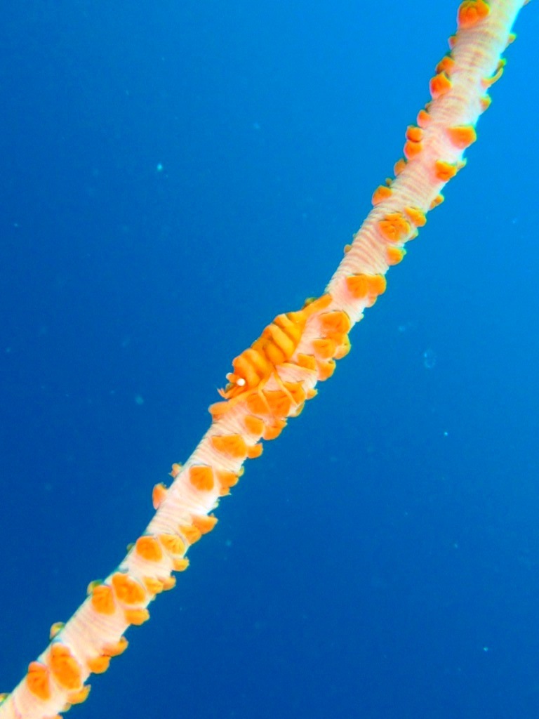 a0189838_17010537.jpg