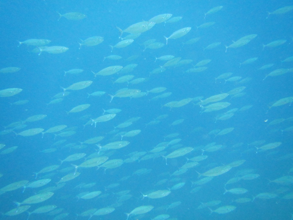 a0189838_17070571.jpg