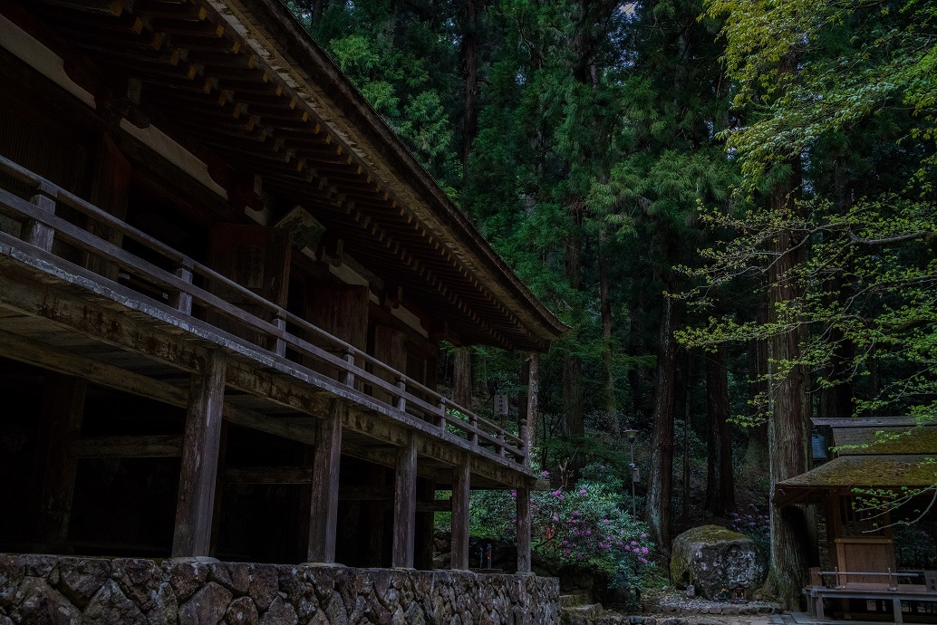 室生寺しゃくなげまつり_e0363038_11005955.jpg