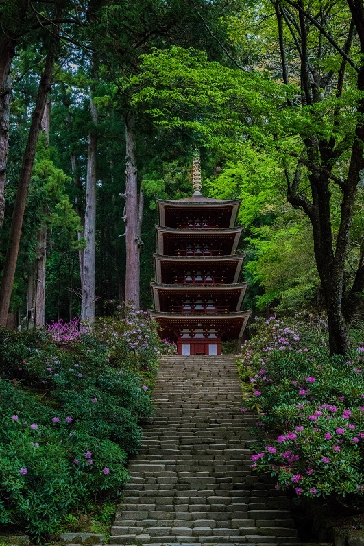 室生寺しゃくなげまつり_e0363038_11011544.jpg