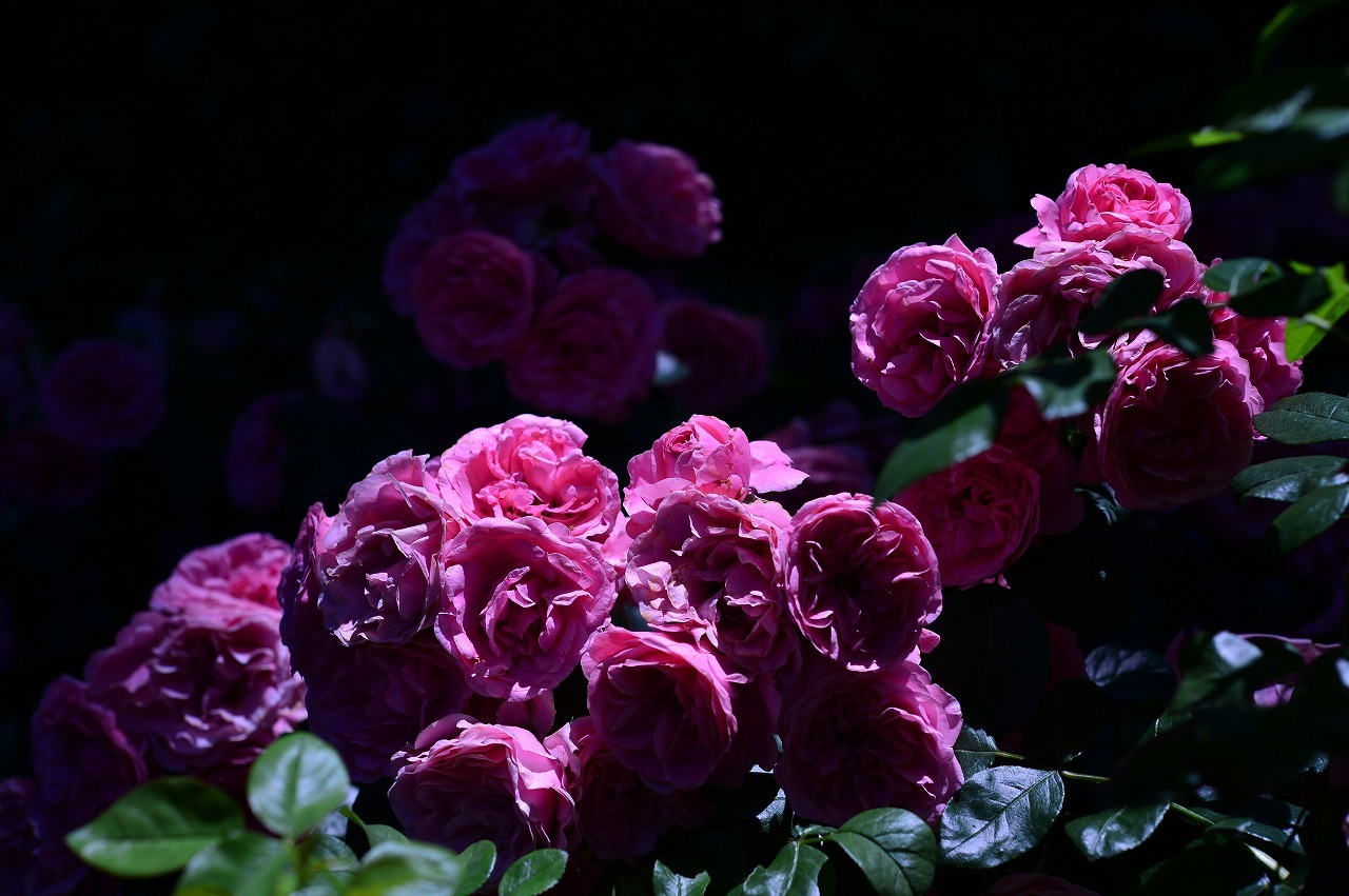 f0345938_15451534.jpg