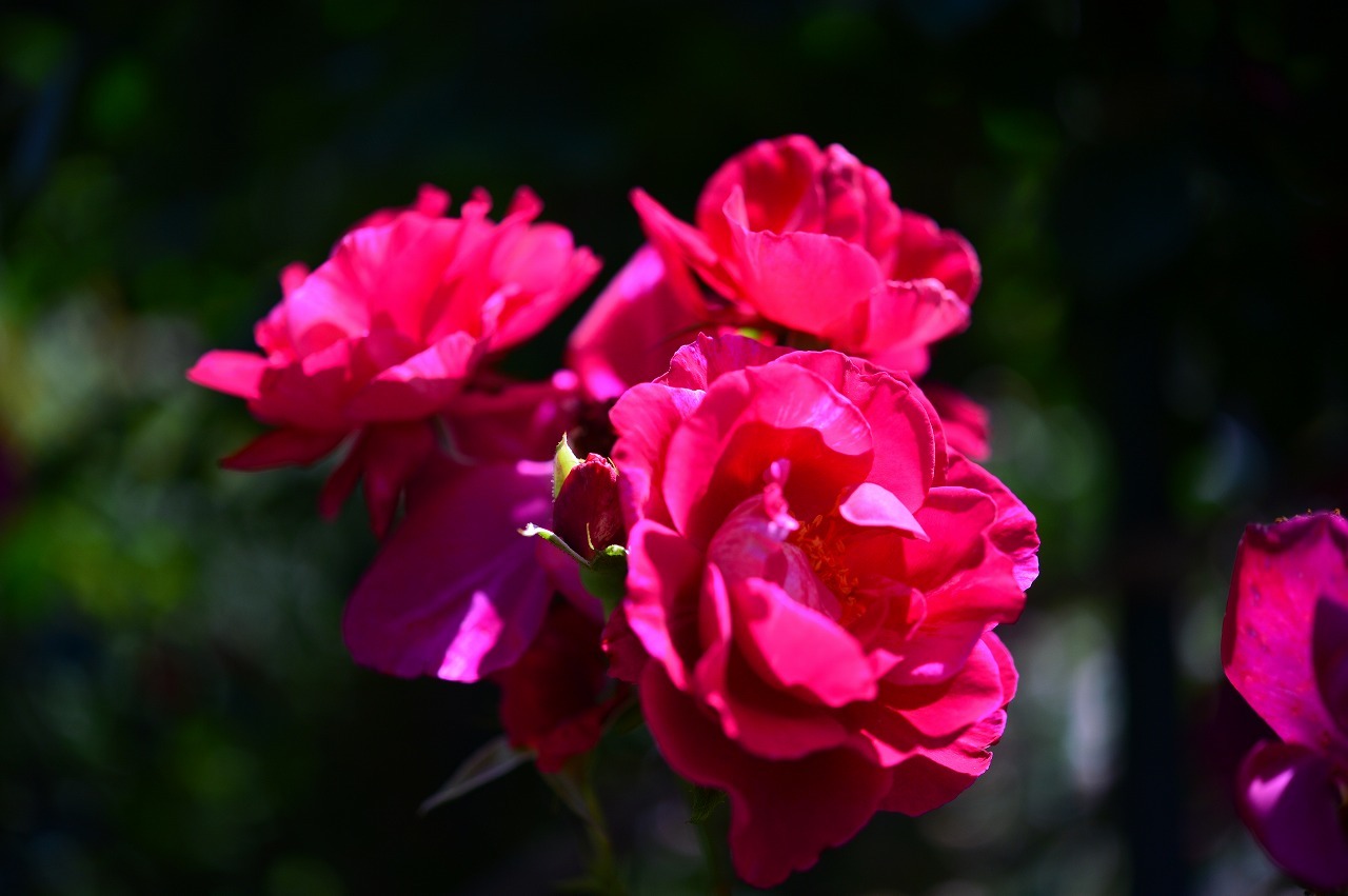 f0345938_15453697.jpg