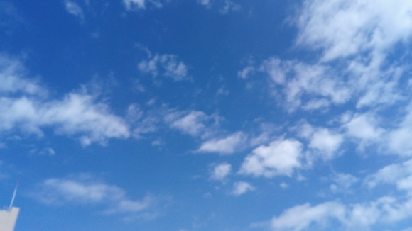 諸説あるとは_b0217741_16270926.jpg