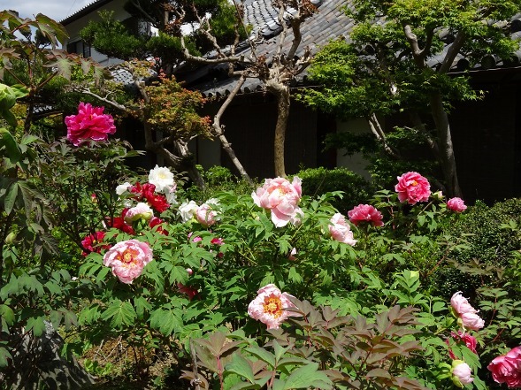 b0299042_21380616.jpg