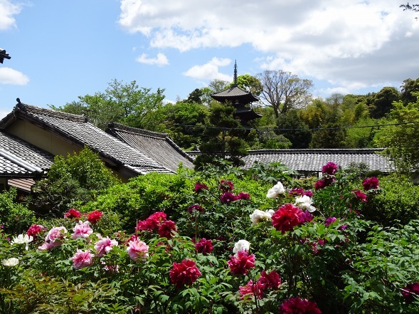 b0299042_21385150.jpg
