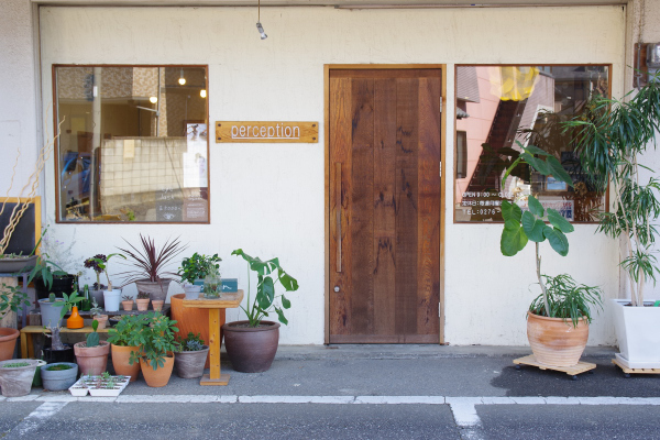 観葉植物を外に出すと元気になる 館林の美容室 一人だから誰にも気を使わないプライベートな空間 髪を傷ませたくないあなたの美容室 パーセプションのウェブログ 観葉植物を外に出すと元気になる 館林の美容室 一人だから誰にも気を使わないプライベートな空間 髪を傷ませたくないあなたの美容室 パーセプションのウェブログ