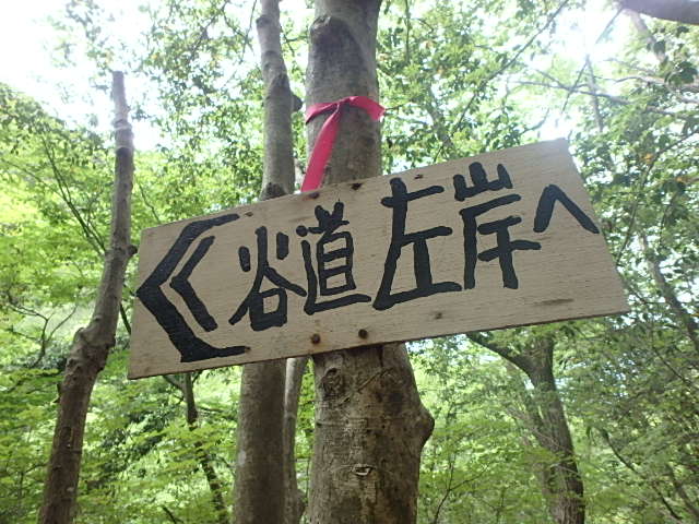 f0334143_6592263.jpg