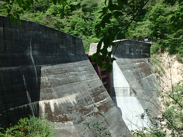 f0334143_704025.jpg