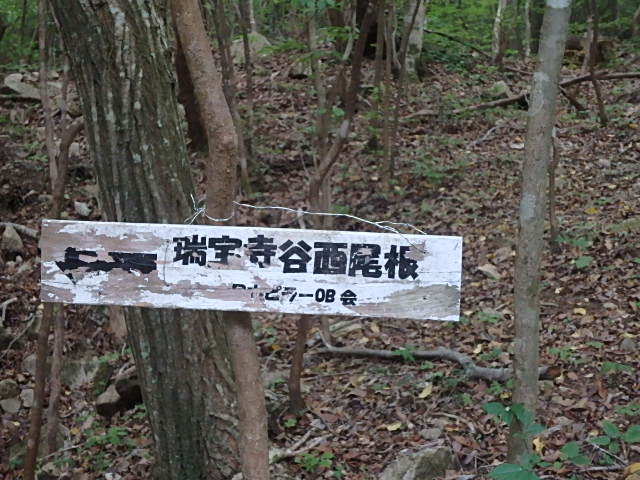 f0334143_783439.jpg