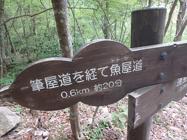 f0334143_78677.jpg