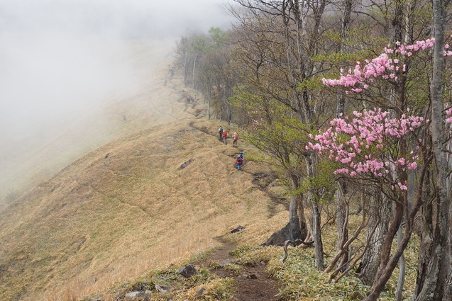 2019/5/19 前袈裟丸山_b0189948_22131078.jpg