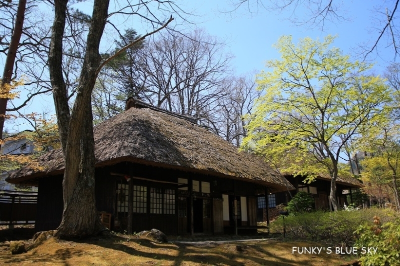 c0145250_09023977.jpg
