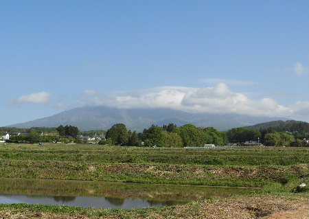 e0172950_2040179.jpg